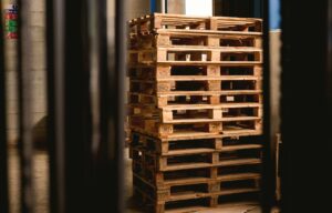 palette gratuite brico dépôt