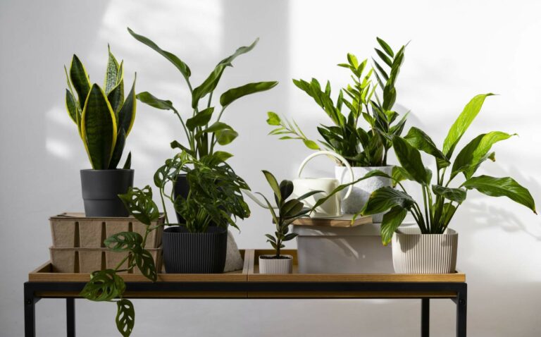 plantes artificielles
