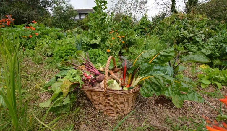apprendre jardinage sur internet