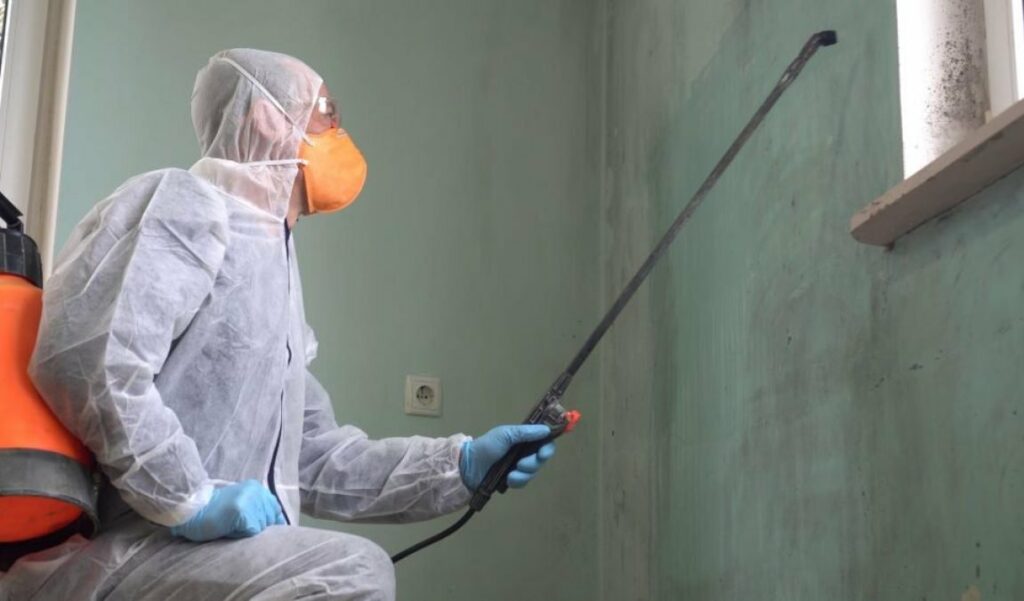 aides nettoyage diogene